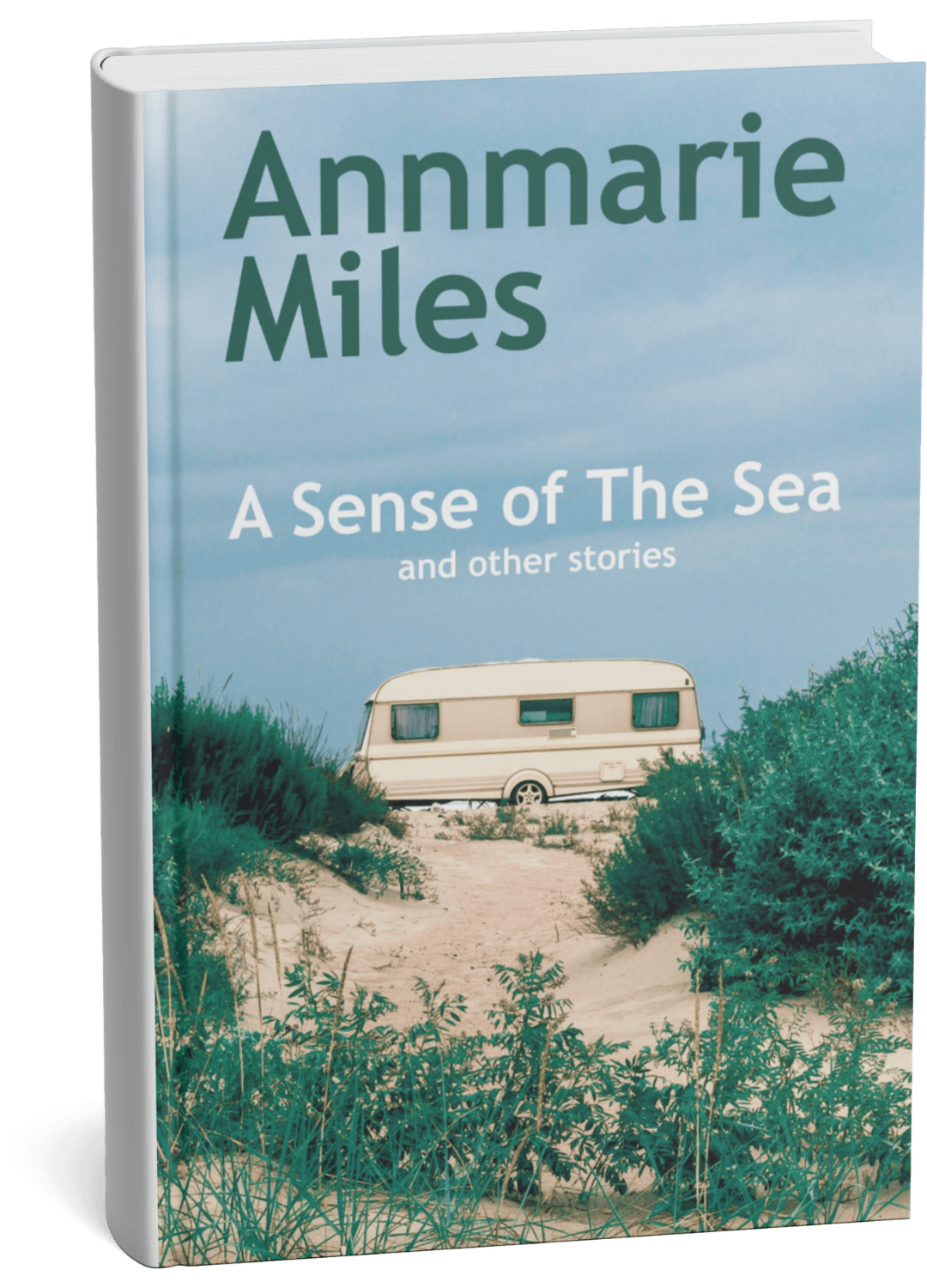 A Sense of The Sea book cover